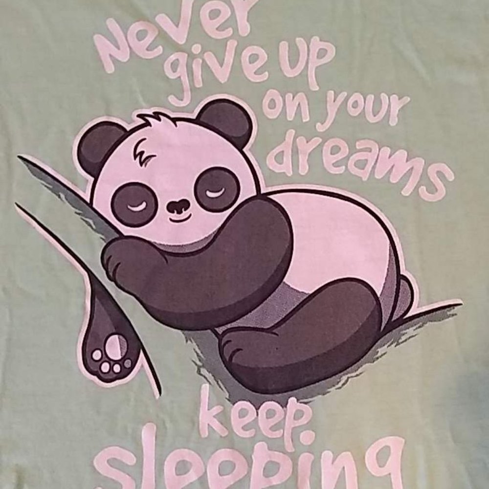 Keep Sleeping - MINT GREEN TeeFury Panda Tee